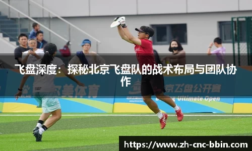飞盘深度：探秘北京飞盘队的战术布局与团队协作